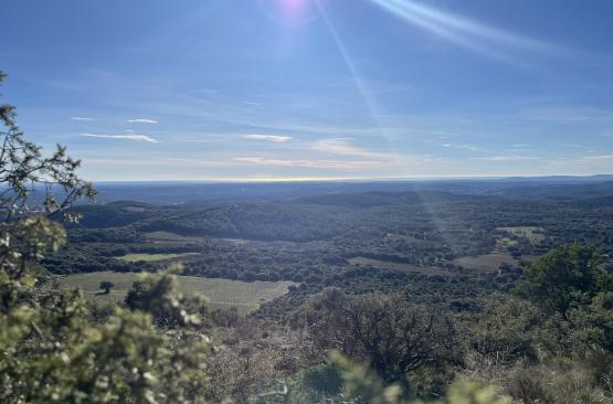 vue du Pic saint loup