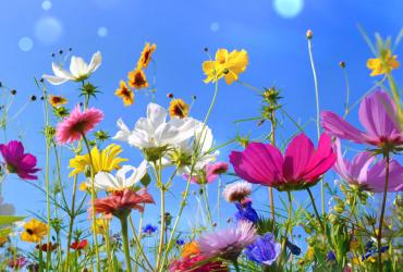 Printemps