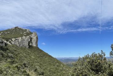 pic saint loup