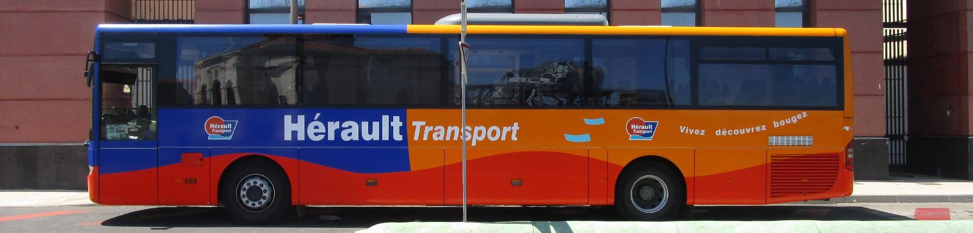bus hérault transport