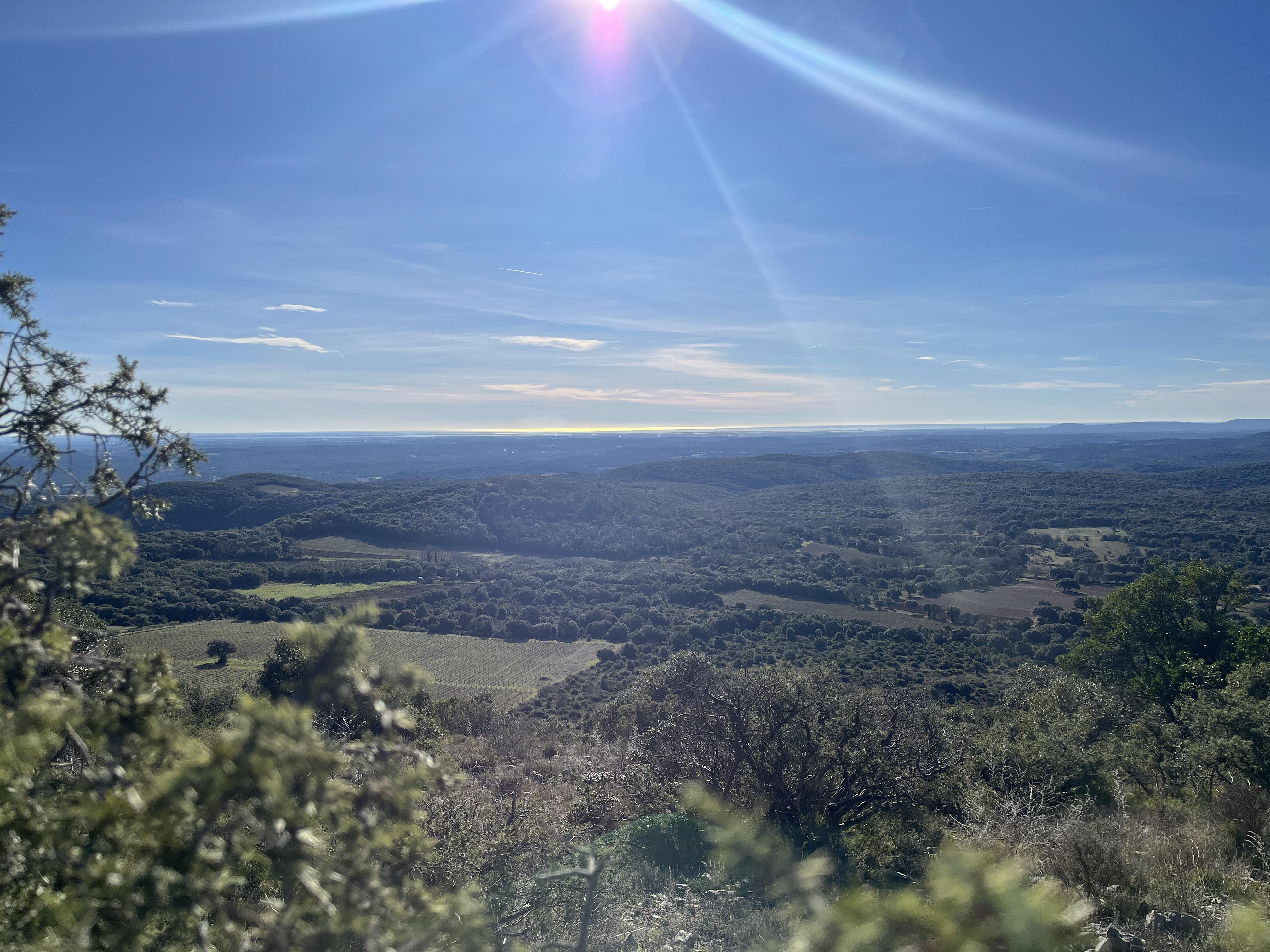 vue du Pic saint loup