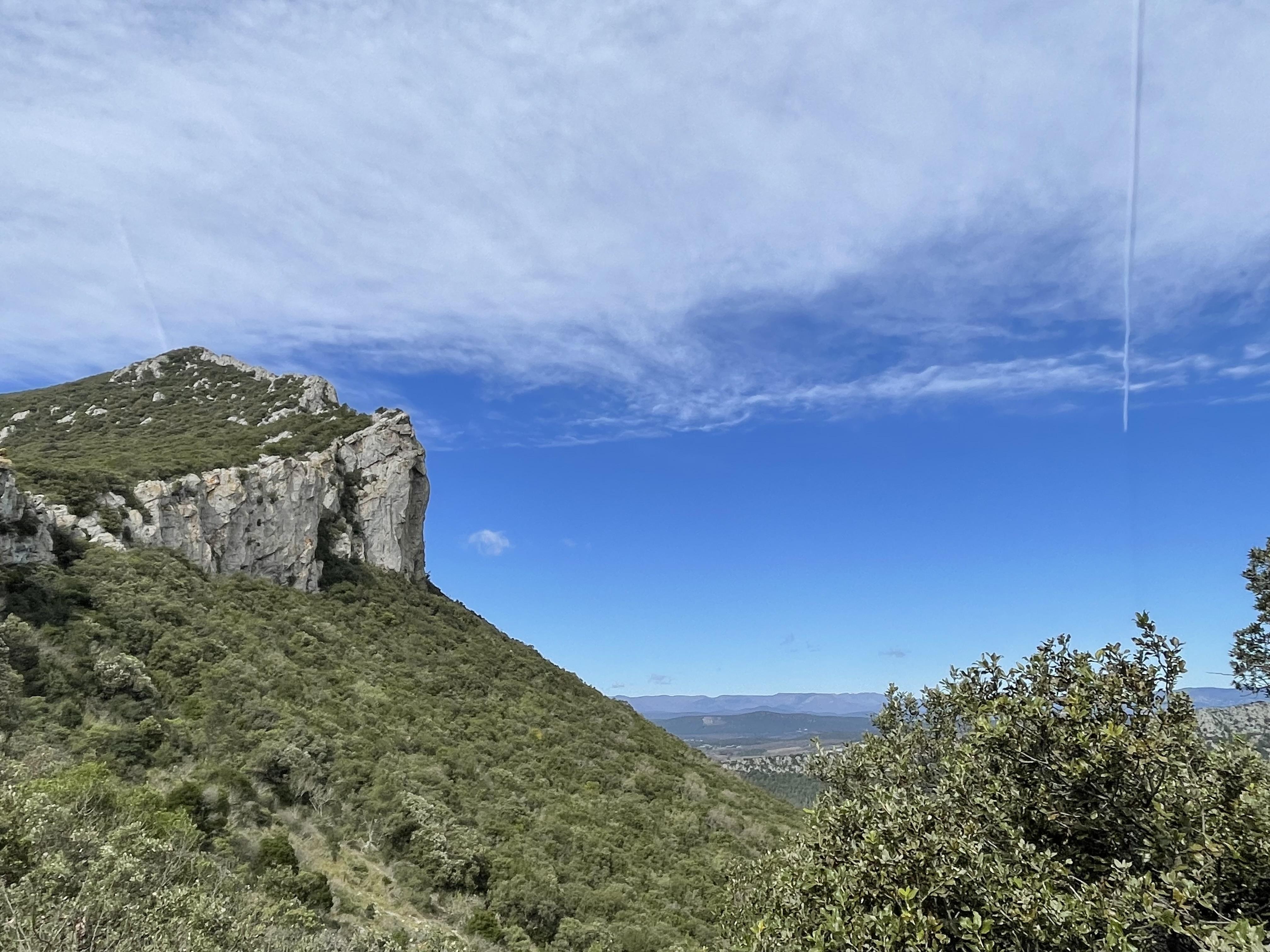 pic saint loup